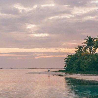 365平台下载截图